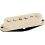 DIMARZIO AREA 61